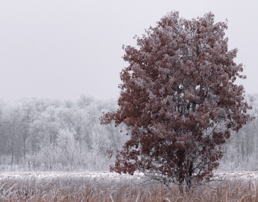 Winter Paper Conditioning in the Upper Midwest